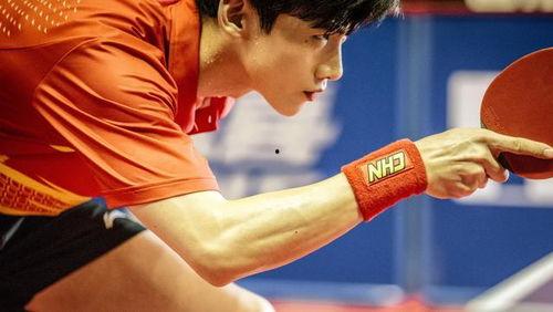 荣耀乒乓,激战正酣，国乒精英展翅翱翔