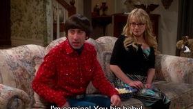 阁楼的拉杰,揭秘神秘阁楼中的传奇故事