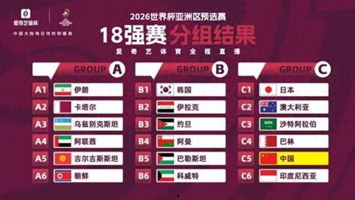 世亚预第三阶段C组第6轮 中国vs日本