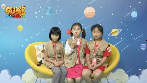 人小鬼大之我帮爸比追妈咪,萌娃助力爸比追妈咪的甜蜜冒险