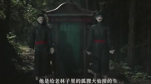 令人毛骨悚然的同居,揭秘令人毛骨悚然的神秘事件