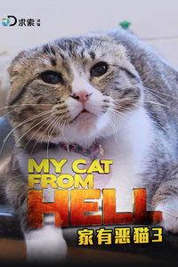 家有恶猫2,猫咪的复仇与家庭的爱恨纠葛